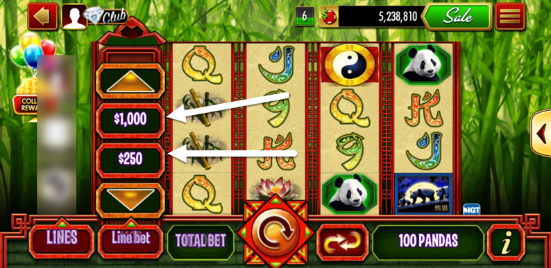 bet selection pop up