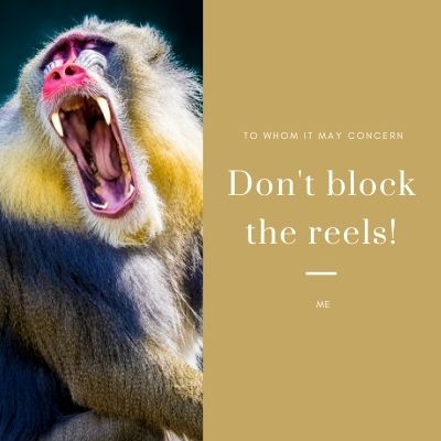 do not block the reels